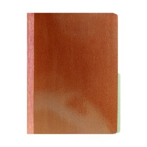 Carpeta de Fibra con Fuelle Plastificada Tamaño Carta Caja x 25 uds